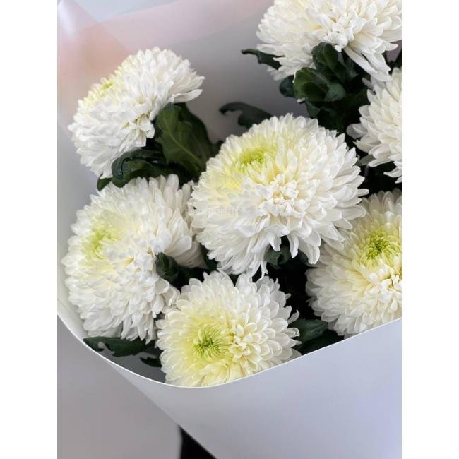 Букет из хризантем &laquo;Фортуна&raquo;