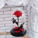 Роза в колбе &laquo;Красная&raquo;