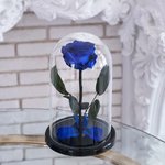 Роза в колбе &laquo;Синяя&raquo;