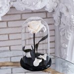 Роза в колбе &laquo;Белая&raquo;