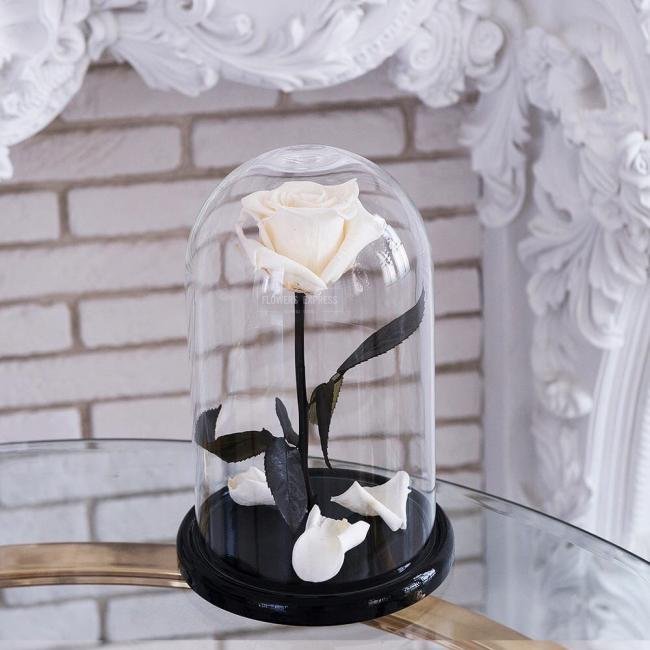 Роза в колбе &laquo;Белая&raquo;