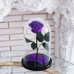 Роза в колбе &laquo;Фиолетовая&raquo;