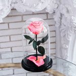 Роза в колбе &laquo;Розовая&raquo;