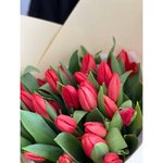 25 Красных тюльпанов