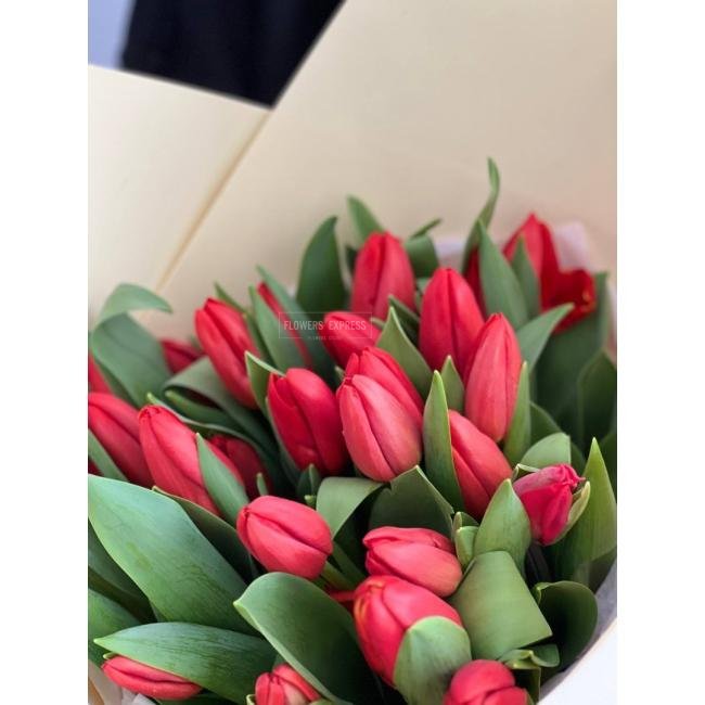25 Красных тюльпанов