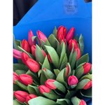 35 Красных тюльпанов