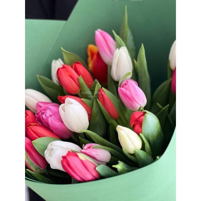 25 Тюльпанов микс