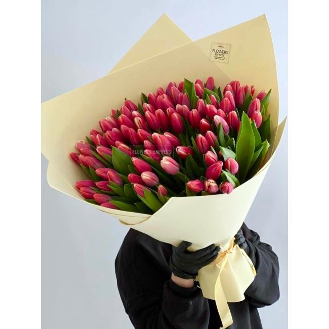 101 Бело-розовый тюльпан