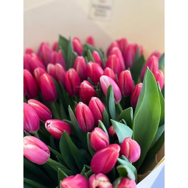 101 Бело-розовый тюльпан