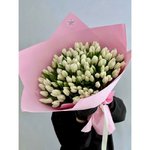 101 Белый тюльпан