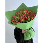 101 Красный тюльпан