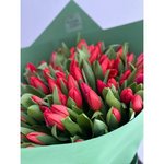 101 Красный тюльпан