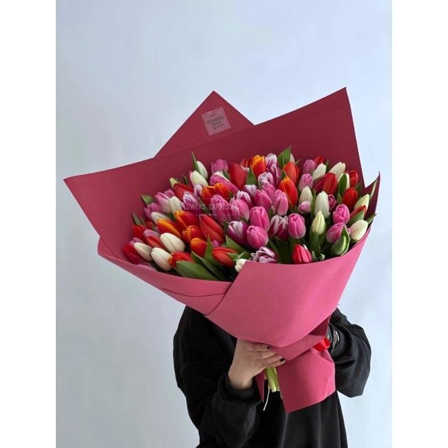 101 Тюльпан микс