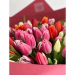 101 Тюльпан микс