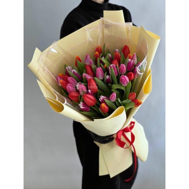 51 Тюльпан микс