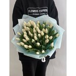 51 Белый тюльпан