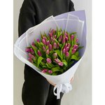 51 Фиолетовый тюльпан