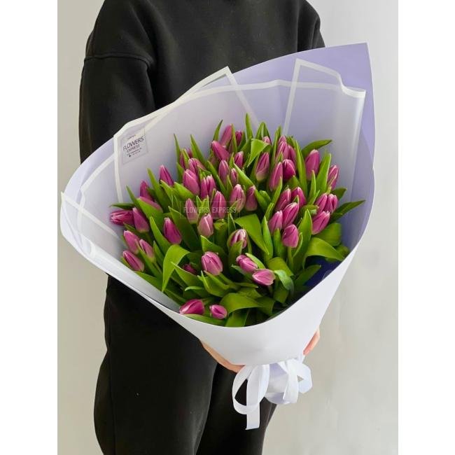 51 Фиолетовый тюльпан