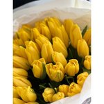 51 Жёлтый тюльпан