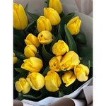 25 Жёлтых тюльпанов