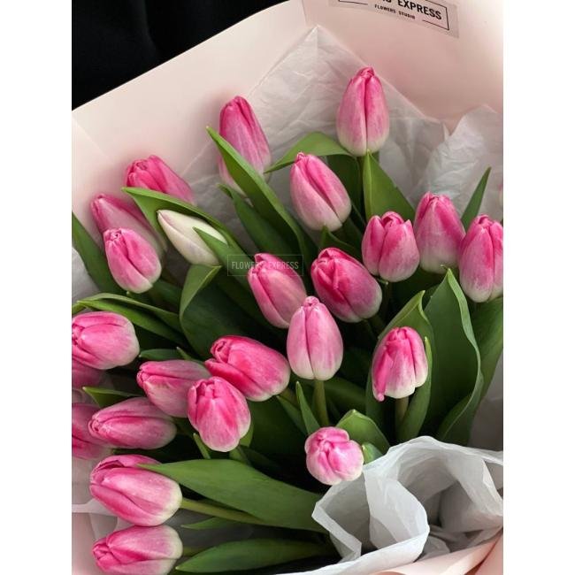 25 Розовых тюльпанов