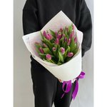 25 Фиолетовых тюльпанов