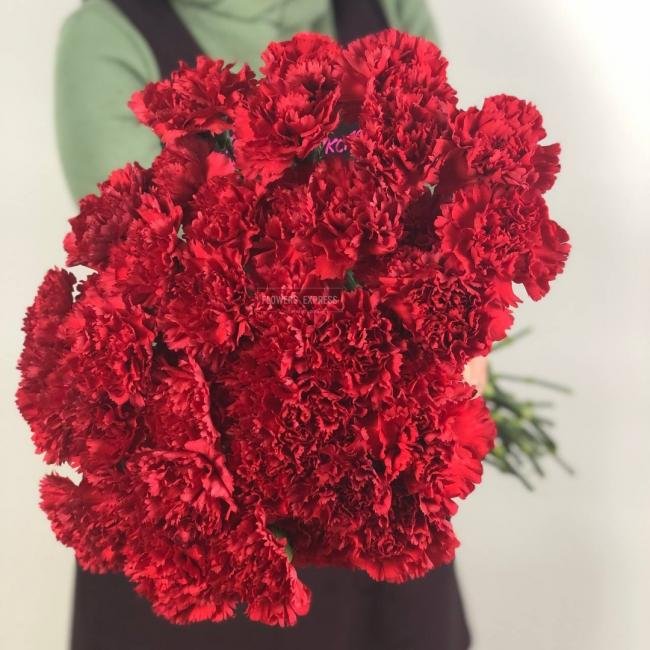 Гвоздика (Диантус) Красная