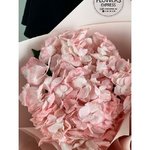 Букет-комплимент из гортензии