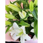 Букет из лилий &laquo;Лёгкость&raquo;