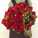 Кустовая роза &laquo;Ред бабблз&raquo; (Red Bubbles)