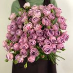 Кустовая роза &laquo;Лавандер Бабблз&raquo; (Lavender Bubbles)