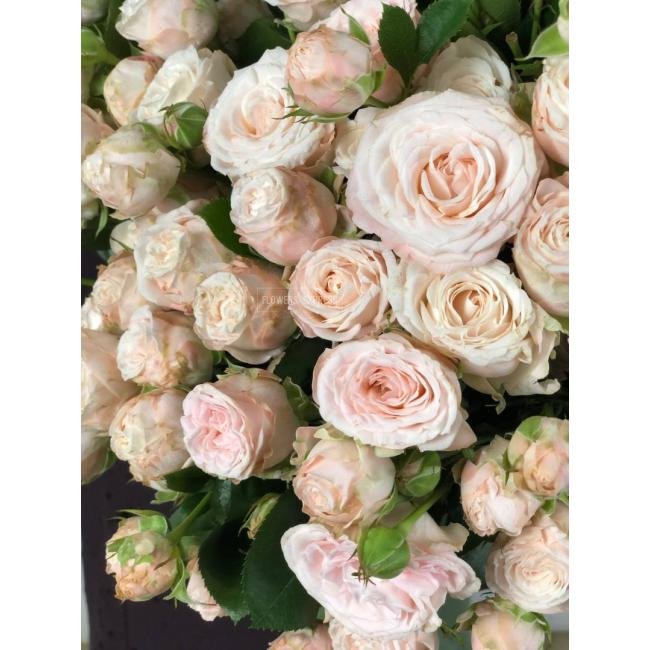 Кустовая роза &laquo;Бомбастик&raquo; (Bombastic)