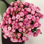 Кустовая роза &laquo;Леди Бомбастик&raquo; (Lady Bombastic)