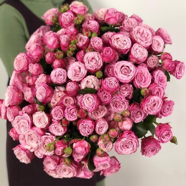 Кустовая роза &laquo;Леди Бомбастик&raquo; (Lady Bombastic)