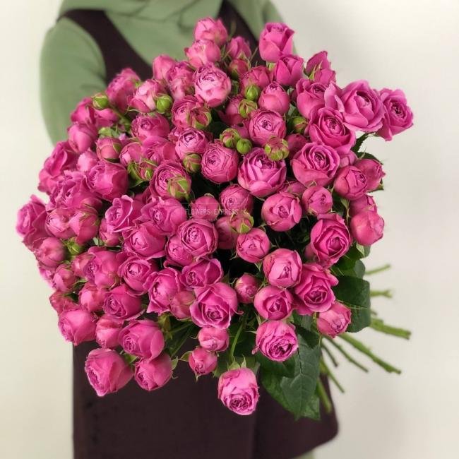 Кустовая роза &laquo;Мисти Бабблз&raquo; (Misty Bubbles)