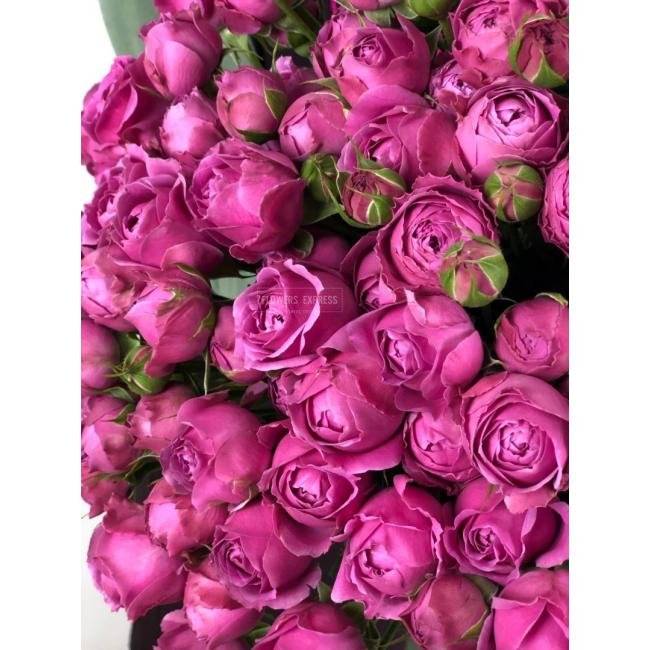 Кустовая роза &laquo;Мисти Бабблз&raquo; (Misty Bubbles)