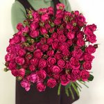 Кустовая роза &laquo;Рич Бабблз&raquo; (Rich Bubbles)