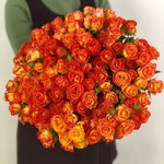 Кустовая роза &laquo;Фиеста&raquo; (Fiesta)