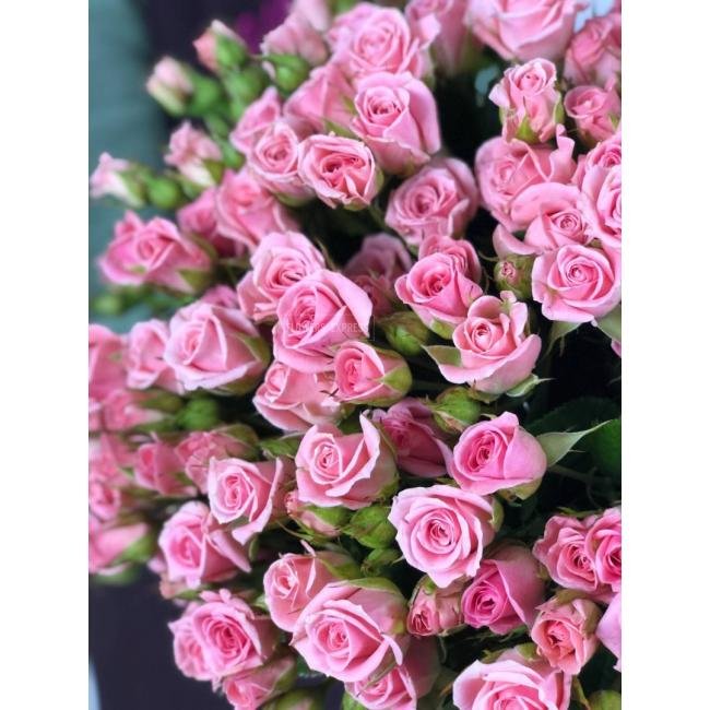 Кустовая роза &laquo;Одилия&raquo; (Odilia)