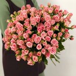 Кустовая роза &laquo;Одилия&raquo; (Odilia)