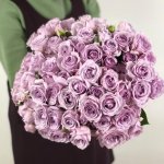 Кустовая роза &laquo;Стерлинг&raquo; (Sterling Silver)