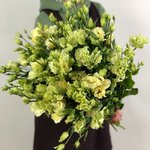 Эустома(Лизиантус) Лимонная