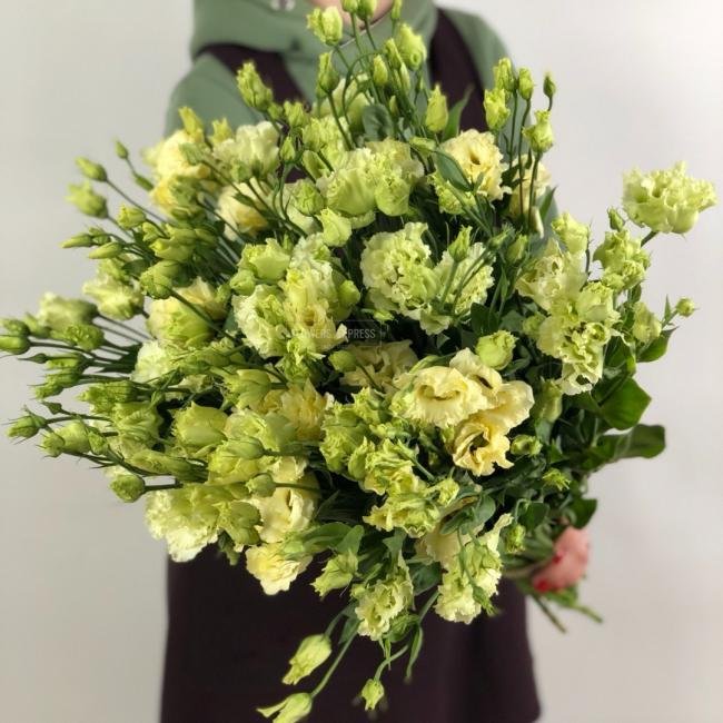 Эустома(Лизиантус) Лимонная