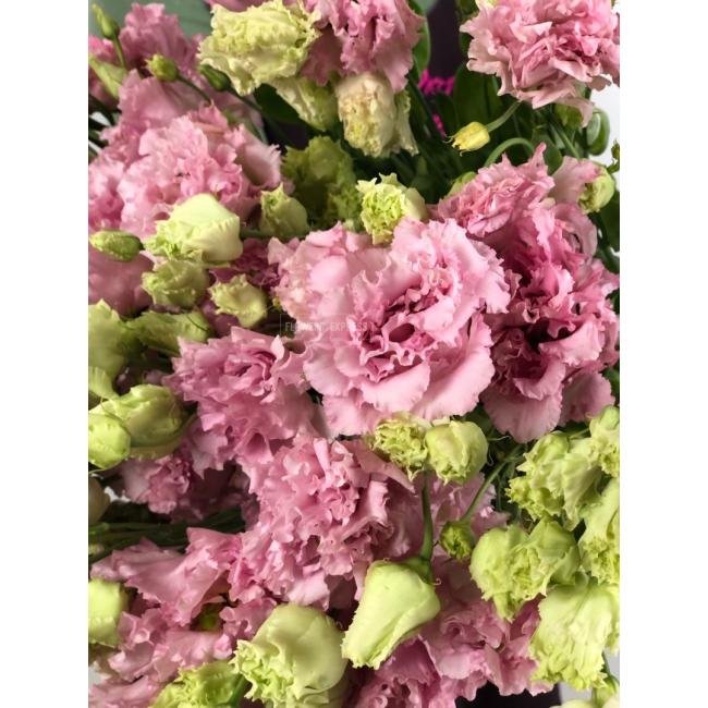 Эустома(Лизиантус) Нежно-розовая