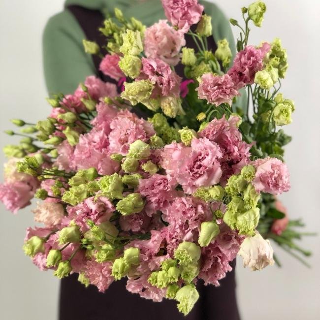 Эустома(Лизиантус) Нежно-розовая