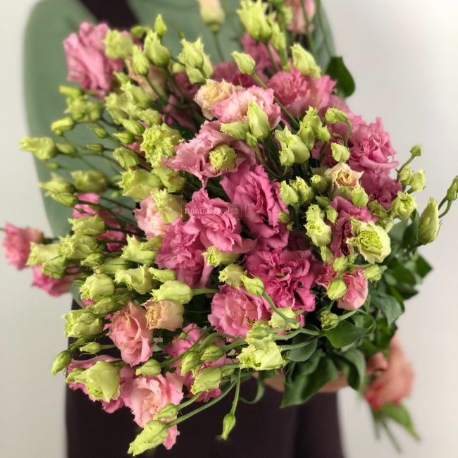 Эустома(Лизиантус) Ярко-розовая