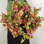 Эустома(Лизиантус) Пудровая