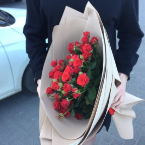 9213afb4-7244-4eca-a2dd-ad261b0f476e