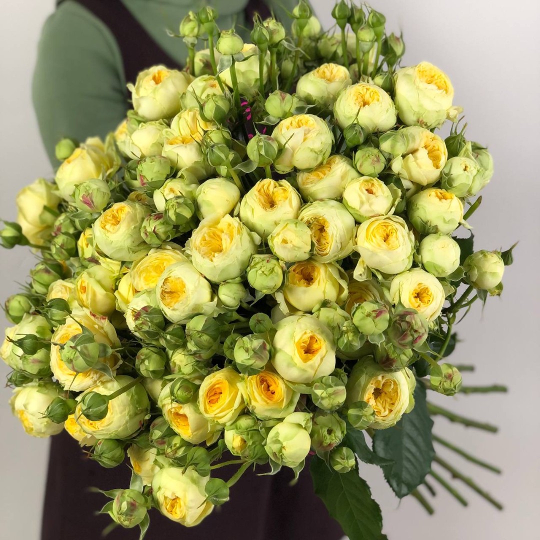 Кустовая роза «Пиони Бабблз» (Pioni Bubbles) - 350 руб, купить в ...